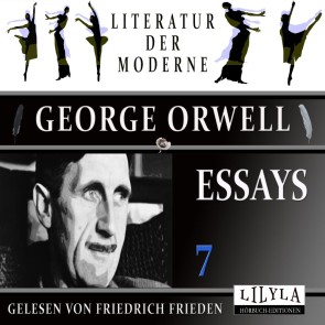 Essays 7