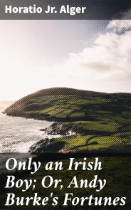 Only an Irish Boy; Or, Andy Burke's Fortunes