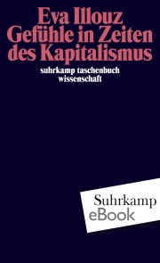 Gefühle in Zeiten des Kapitalismus