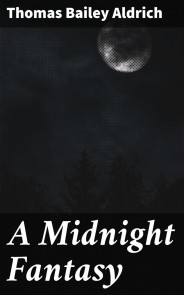 A Midnight Fantasy