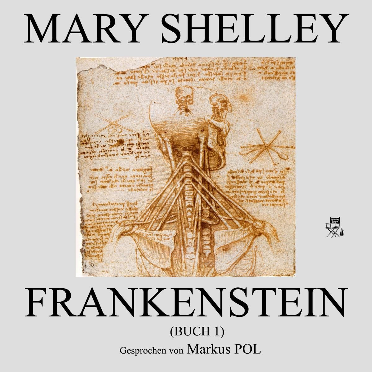 Frankenstein (Buch 1)