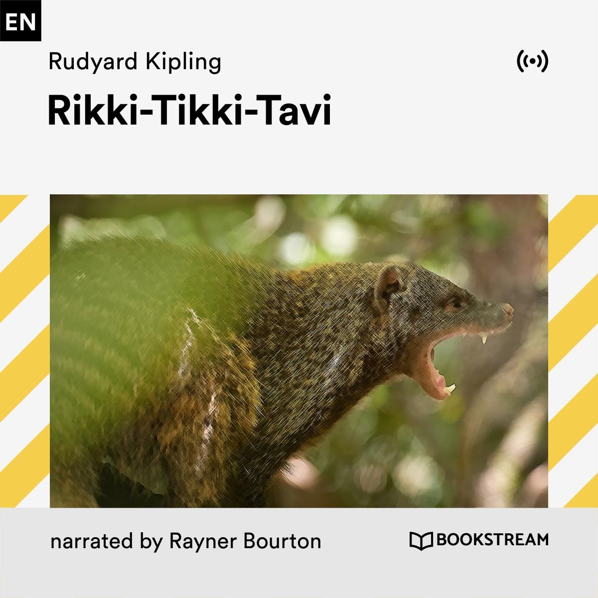 Rikki-Tikki-Tavi