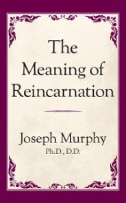 The Meaning of Reincarnation