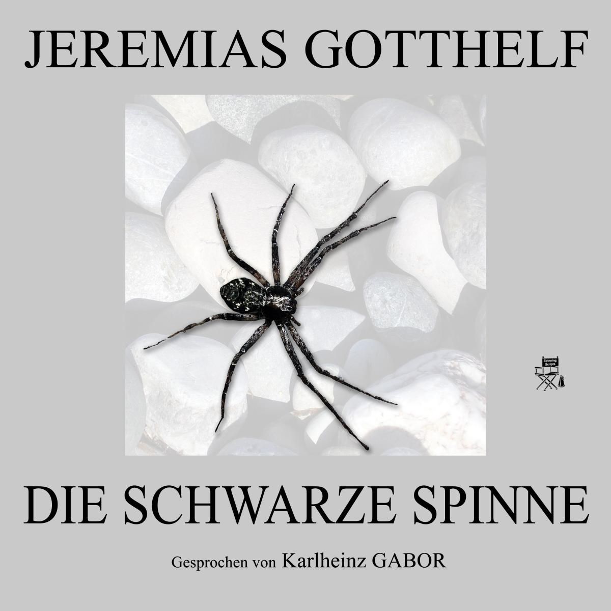 Die schwarze Spinne
