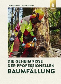 Die Geheimnisse der professionellen Baumfällung