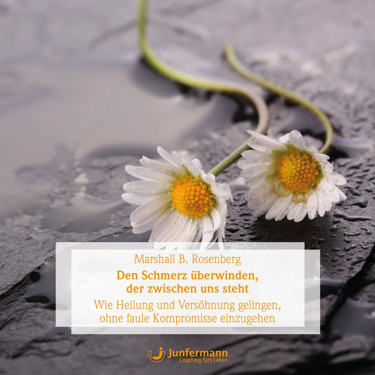 Den Schmerz überwinden, der zwischen uns steht