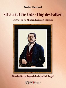 Schau auf die Erde - Der Flug des Falken. Zweites Buch: Abschied von den Träumen