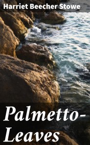 Palmetto-Leaves