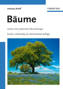 Bäume