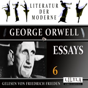 Essays 6