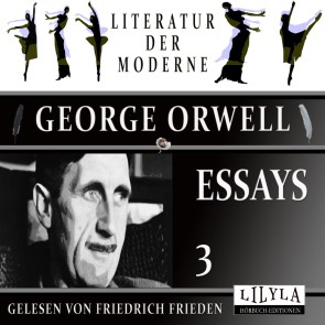 Essays 3