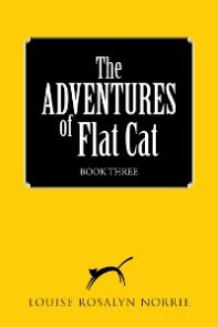 The Adventures of Flat Cat