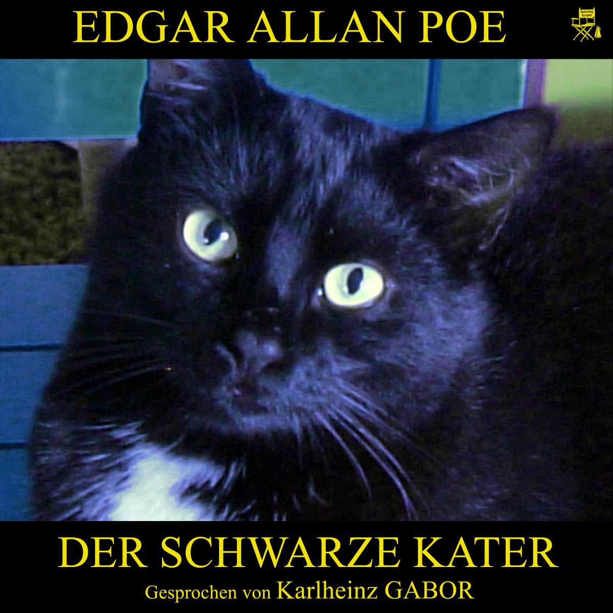 Der schwarze Kater