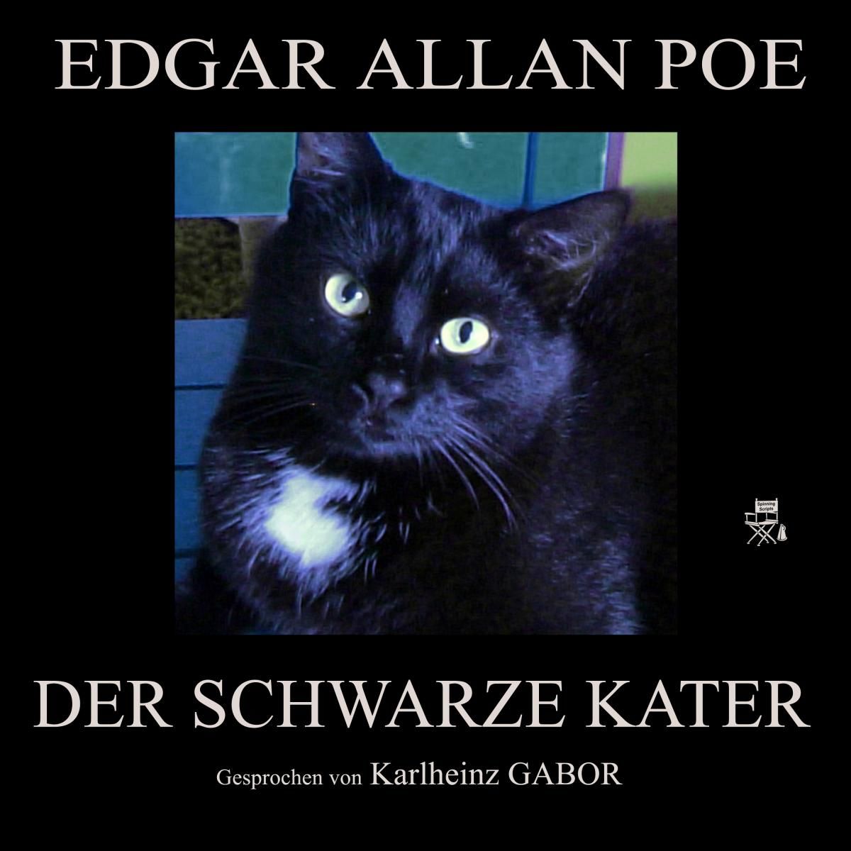 Der schwarze Kater