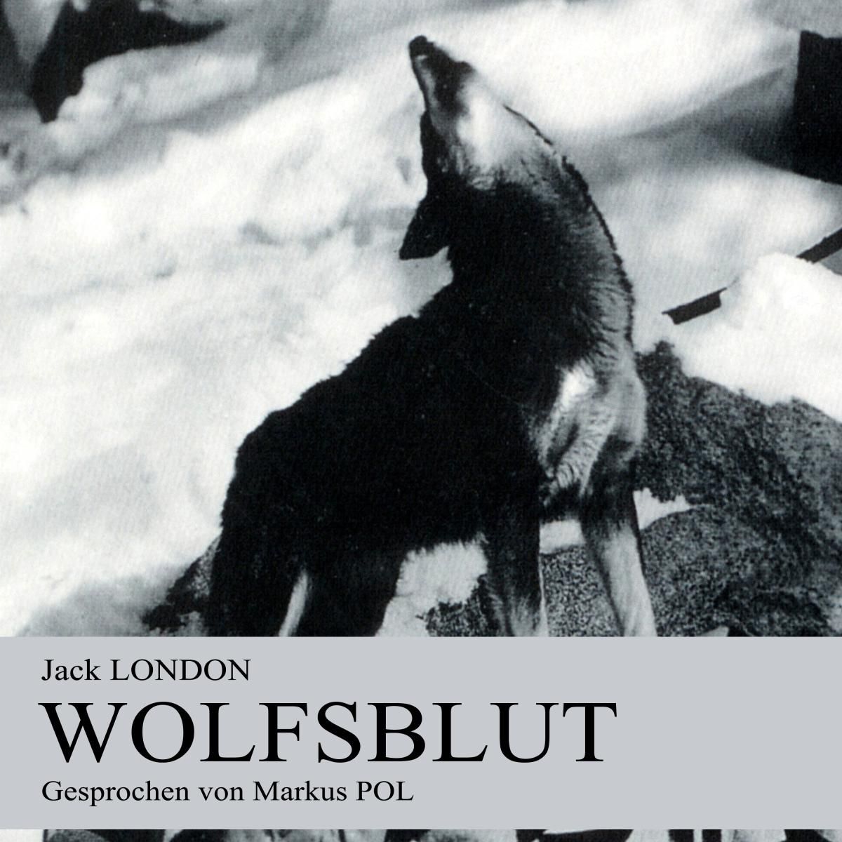 Wolfsblut