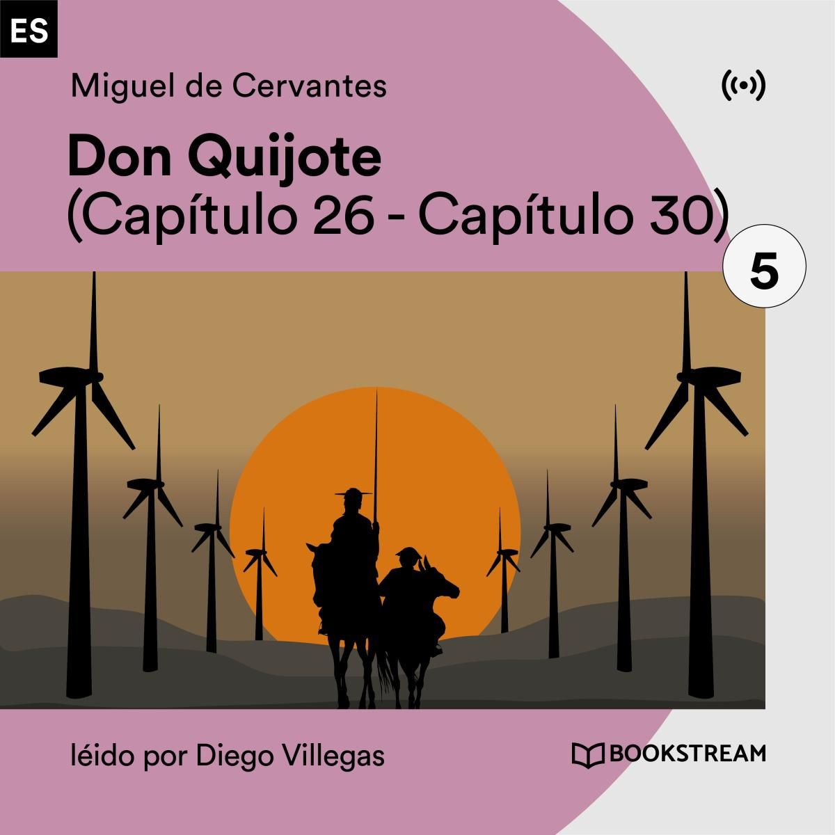 Don Quijote 5