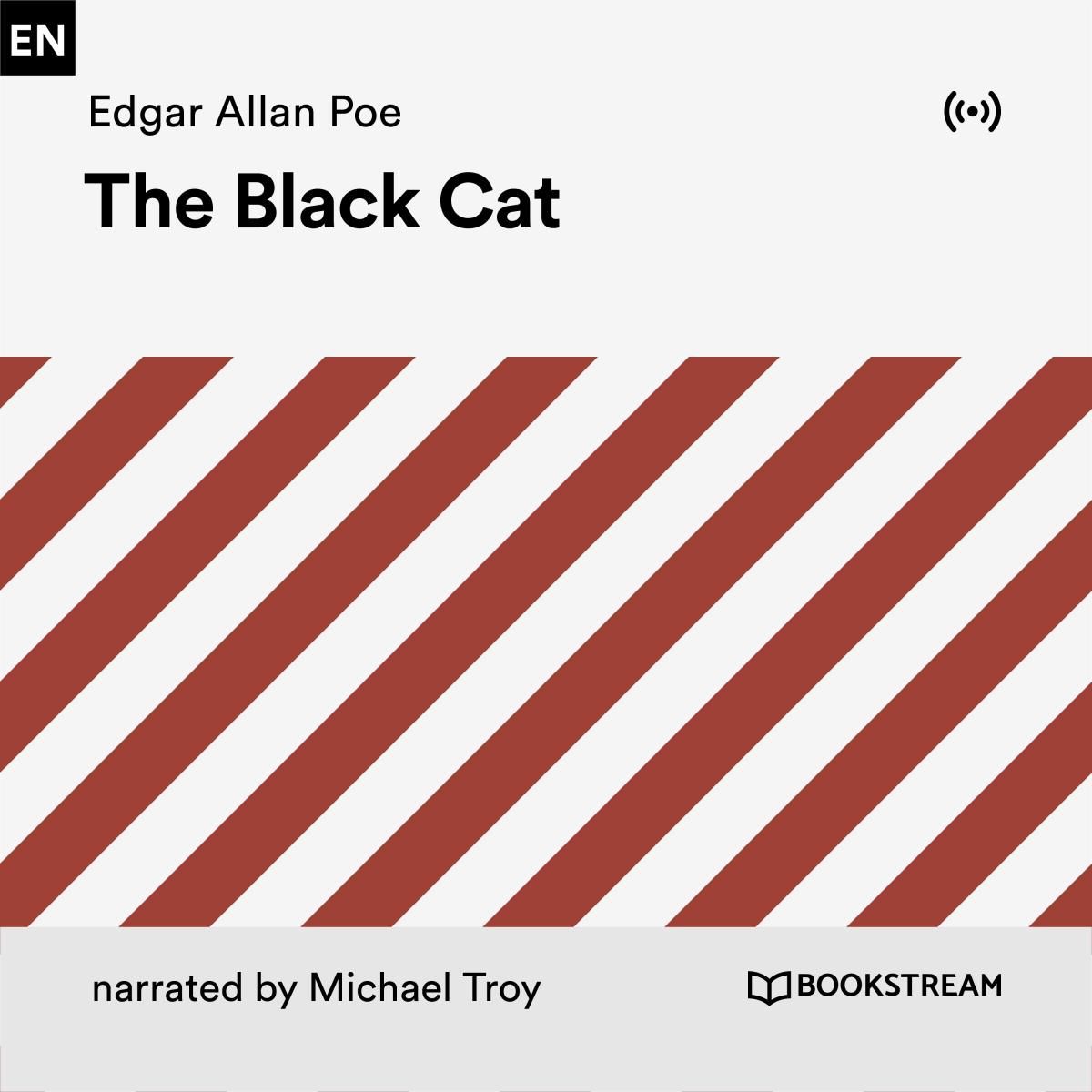 The Black Cat
