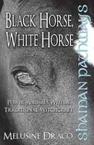 Shaman Pathways - Black Horse, White Horse